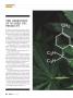 Page: - 84 | High Times
