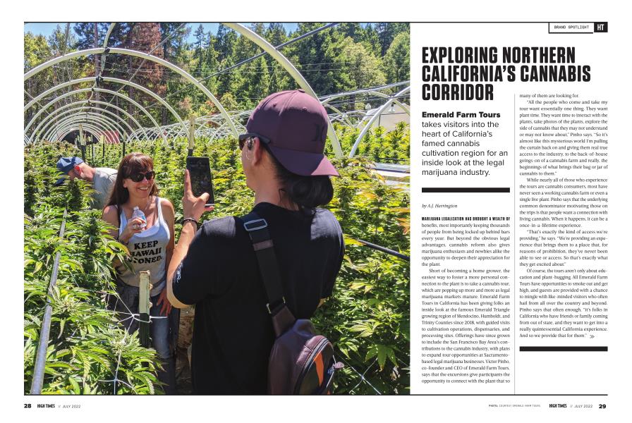 EXPLORING NORTHERN CALIFORNIA’S CANNARIS CORRIDOR