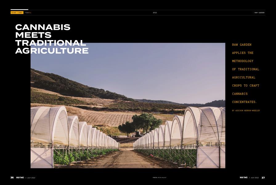 CANNABIS MEETS TRADITIONAL AGRICULTURE
