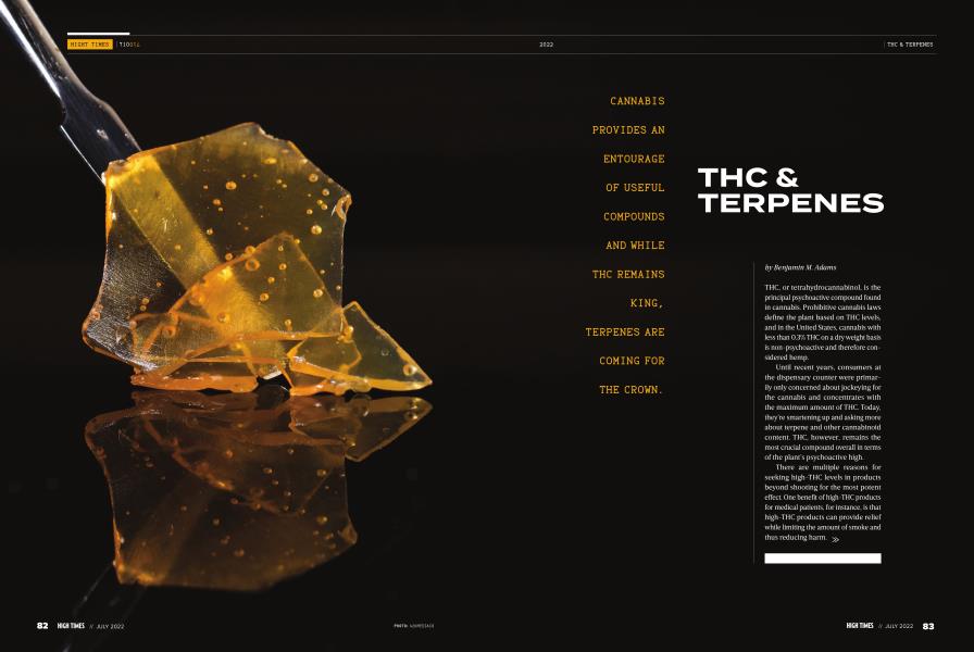 THC & TERPENES