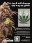Page: - 119 | High Times