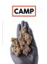 Page: - 123 | High Times