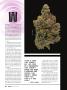 Page: - 36 | High Times