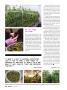 Page: - 44 | High Times