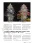 Page: - 61 | High Times