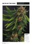 Page: - 64 | High Times