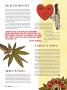 Page: - 78 | High Times