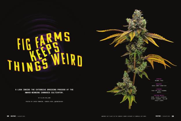 FIG FARMS KEEPS THINGS WEIRD