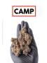 Page: - 129 | High Times