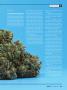 Page: - 27 | High Times