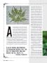 Page: - 32 | High Times