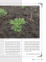 Page: - 35 | High Times