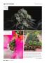 Page: - 66 | High Times