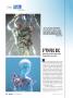 Page: - 76 | High Times