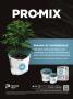 Page: - 9 | High Times
