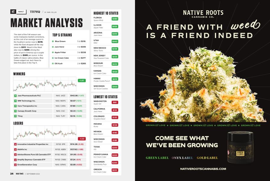 MARKET ANALYSIS