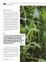 Page: - 30 | High Times