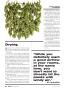 Page: - 40 | High Times