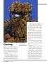 Page: - 42 | High Times
