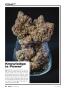 Page: - 54 | High Times