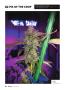 Page: - 64 | High Times