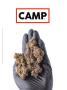Page: - 82 | High Times