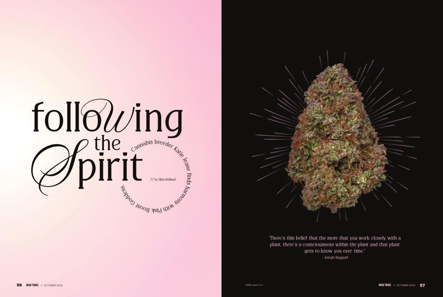 Following the Spirit
