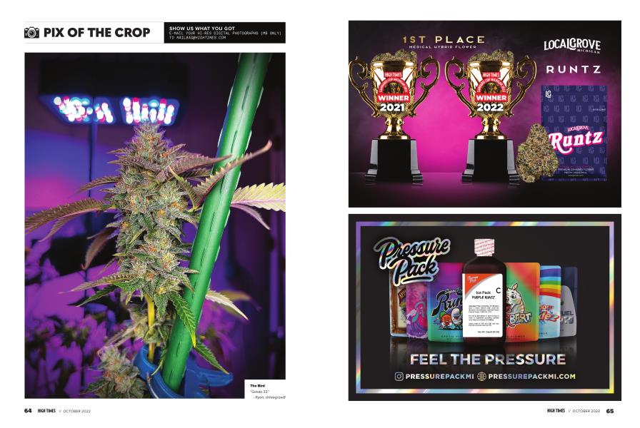 PIX OF THE CROP