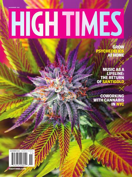 NOVEMBER 2022 | High Times