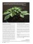 Page: - 24 | High Times