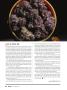 Page: - 44 | High Times