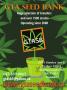 Page: - 53 | High Times