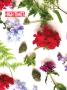 Page: - 68 | High Times