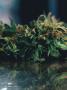 Page: - 74 | High Times