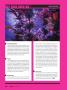 Page: - 102 | High Times