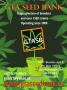 Page: - 11 | High Times