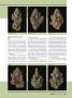 Page: - 31 | High Times
