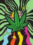 Page: - 35 | High Times