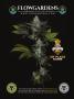 Page: - 55 | High Times