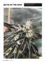 Page: - 64 | High Times
