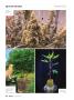 Page: - 66 | High Times