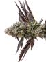 Page: - 68 | High Times