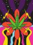 Page: - 73 | High Times