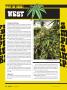 Page: - 74 | High Times