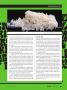 Page: - 89 | High Times