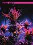 Page: - 94 | High Times