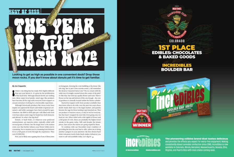 THE YEAR OF THE HASH HOLE