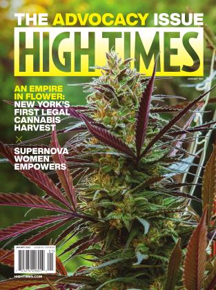 JANUARY 2023 | High Times