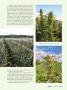 Page: - 41 | High Times