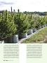 Page: - 46 | High Times